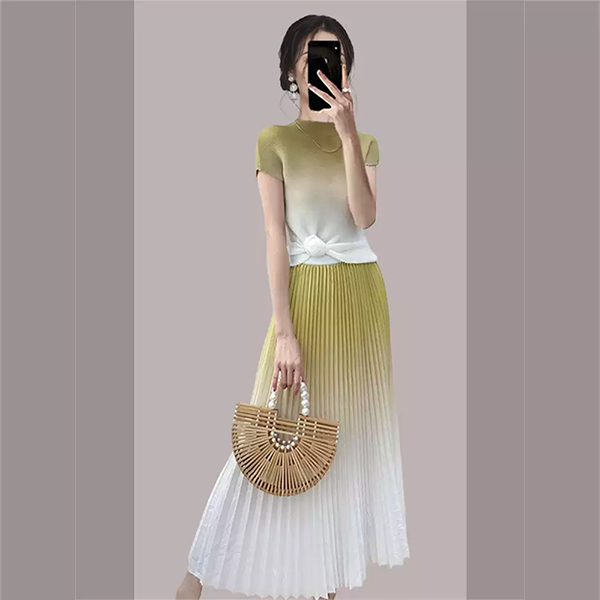 Elegant Gradient Pleated Skirt and Top Set for Women
