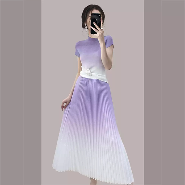 Elegant Gradient Pleated Skirt and Top Set for Women