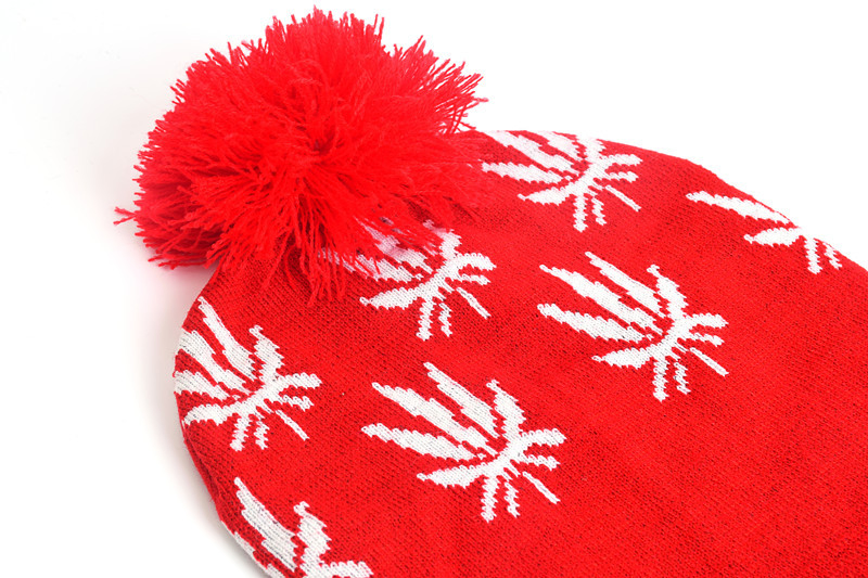 Cozy Christmas Thick Wool Ball Knitting Hat for Winter