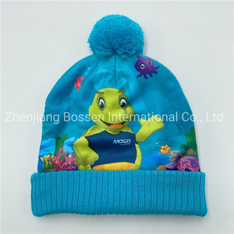 China Factory OEM Custom Logo Embroidered Outdoor Sports Ski Snowboard Acrylic Beanie Bobble Hat
