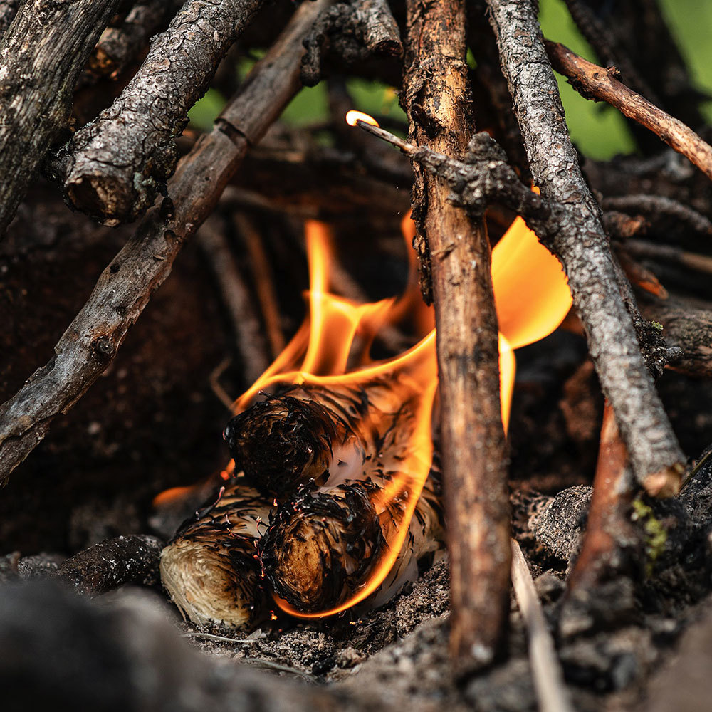 Роллы береза для розжига Boyscout (5 шт.)