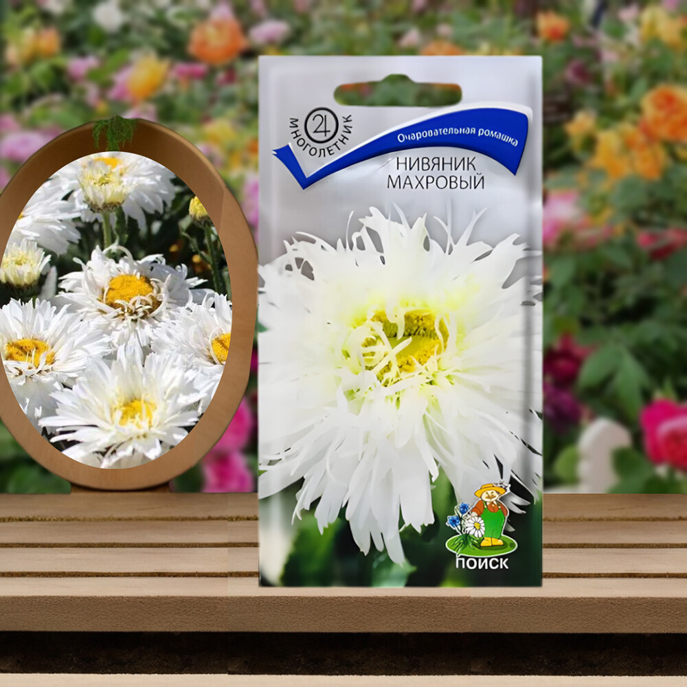 Нивяник махровый Поиск 5 шт.