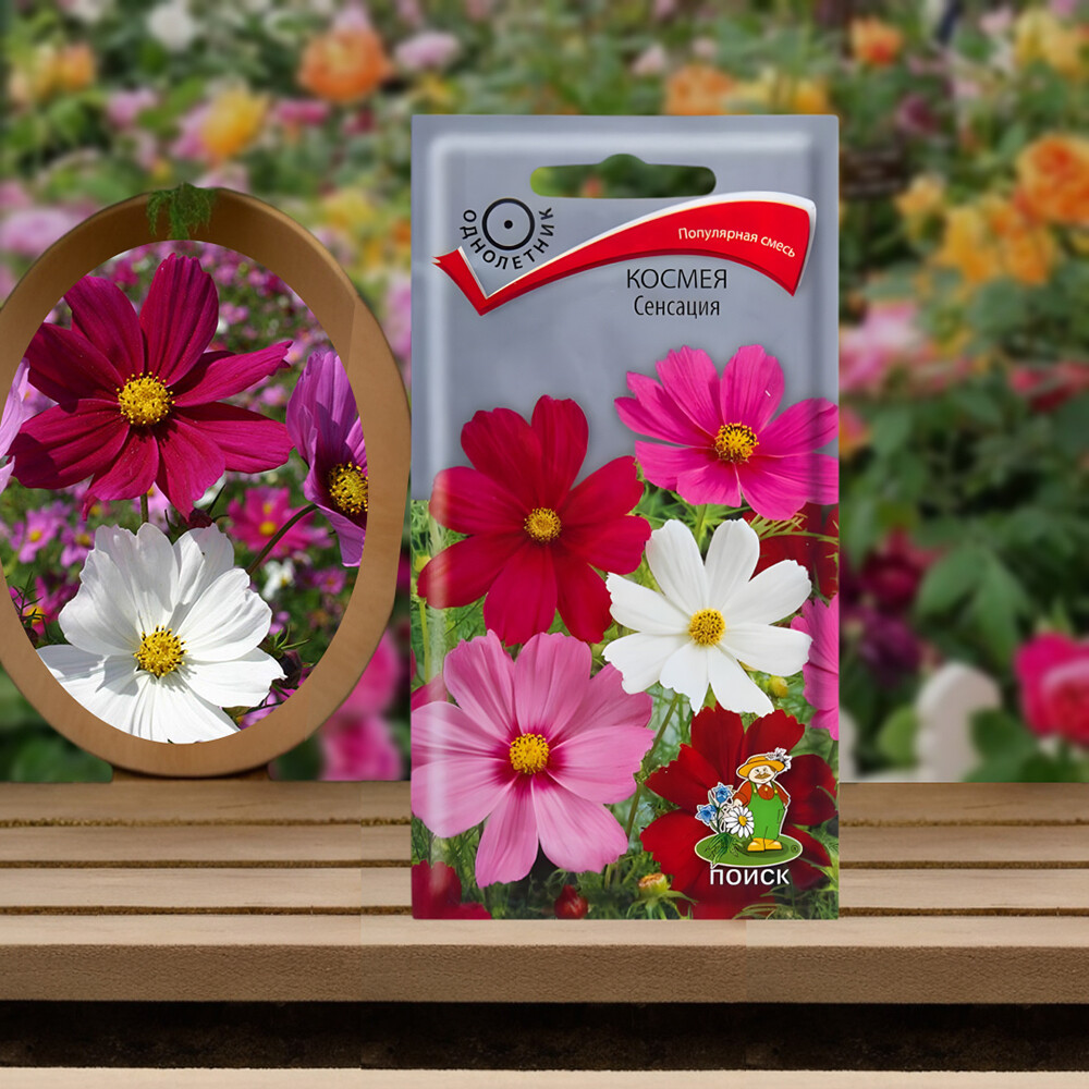 Космея Сенсация Поиск 10 шт.