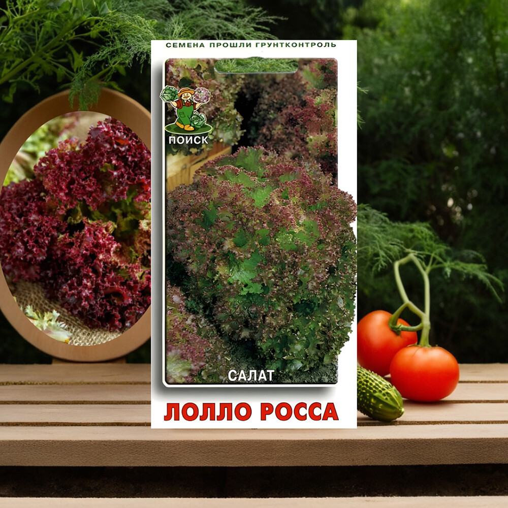 Салат Лолло Росса Поиск 1 г