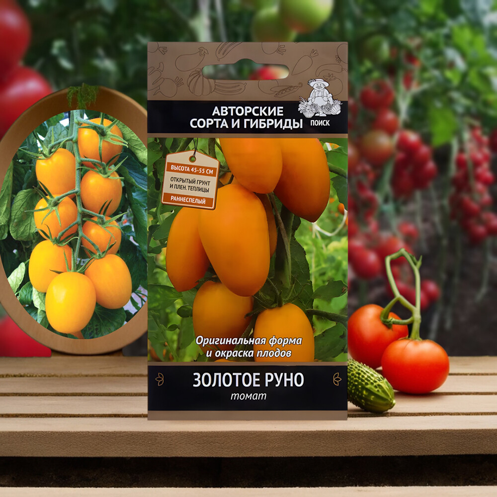Томат Золотое руно Поиск 12 шт.