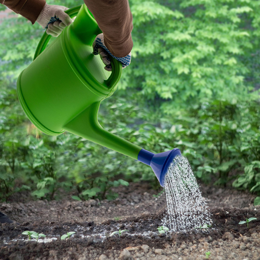 Лейка садовая Сибртех 10 л пластиковая с горловиной