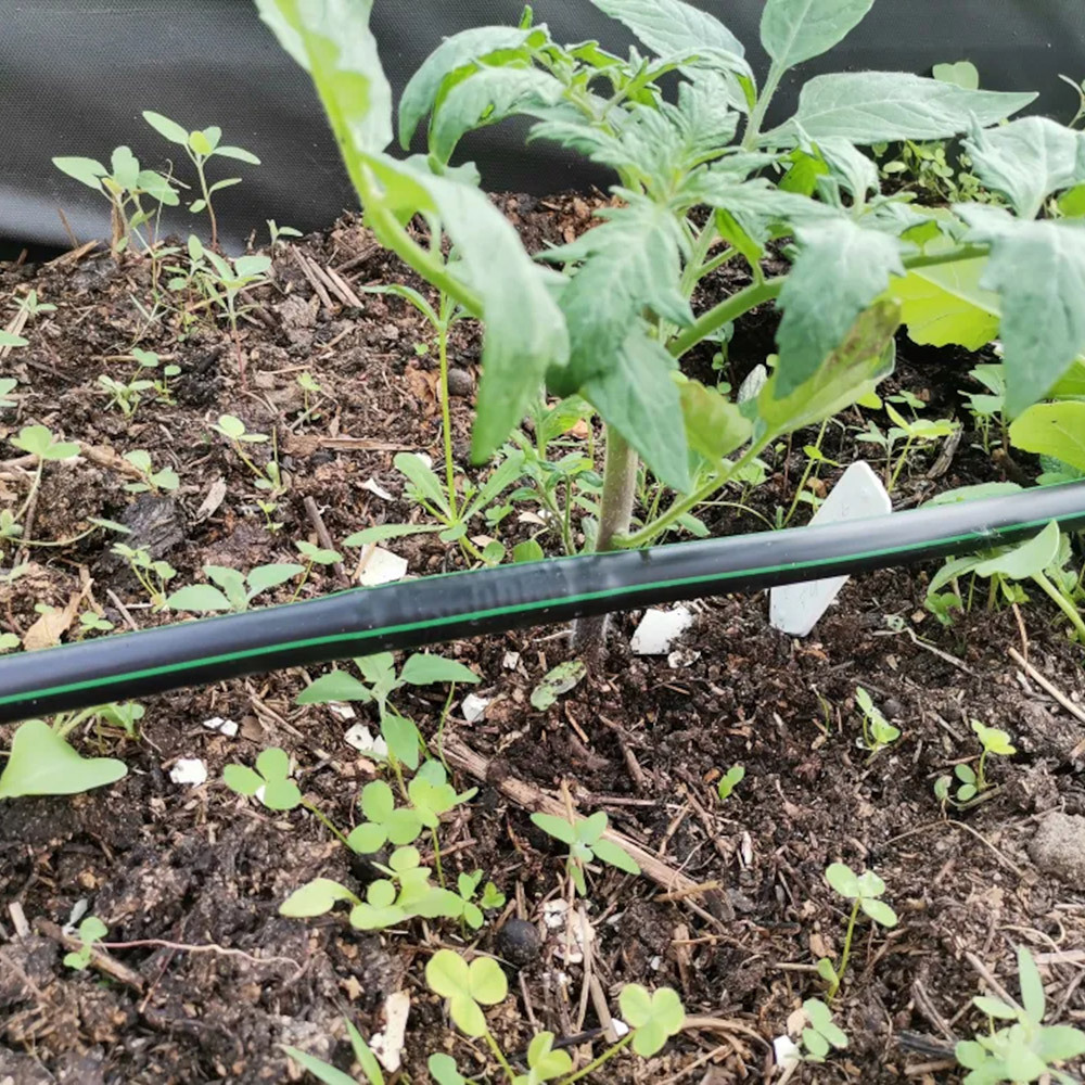 Трубка для капельного полива 50 м однослойная Irritime ПВХ (1893614)